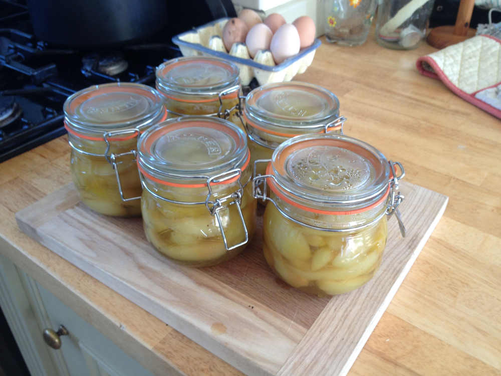 GIY Pickle Jar