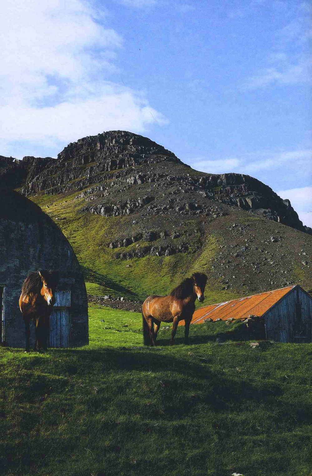 Iceland Farm