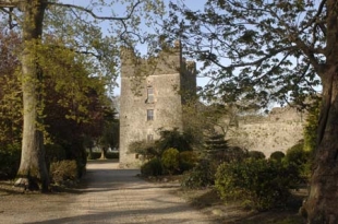 Killiane Castle