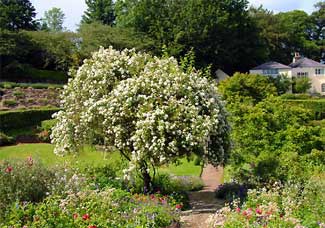 Knockmore Garden - Enniskerry County Wicklow Ireland