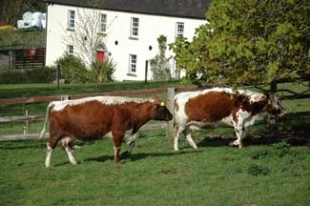 Lough Bishop House