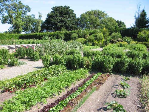 Marlfield House - Kitchen Garden