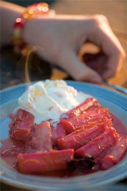 Poached Rhubarb with Stem Ginger Ice Cream