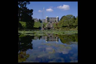 Powerscourt Gardens - Enniskerry County Wicklow Ireland