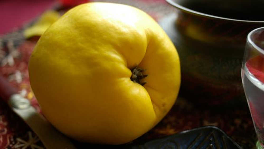 Quince