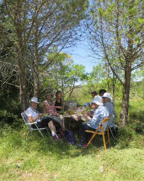 A French Picnic