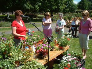 Tralee Garden Show - Tralee County Kerry Ireland