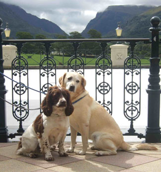 Hotel Dunloe Castle - Killarney County Kerry Ireland - Dog Friendly