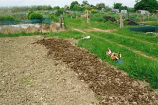 Allotment