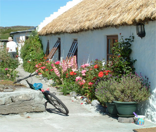 home image
