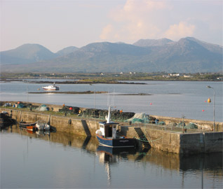 home image